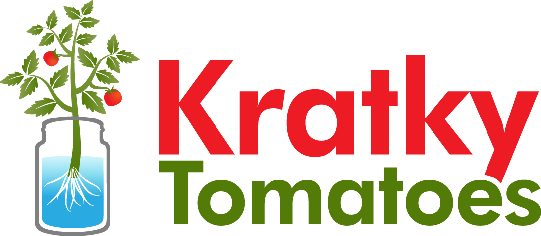 Kratky Tomatoes Using The Kratky Method of Hydroponics